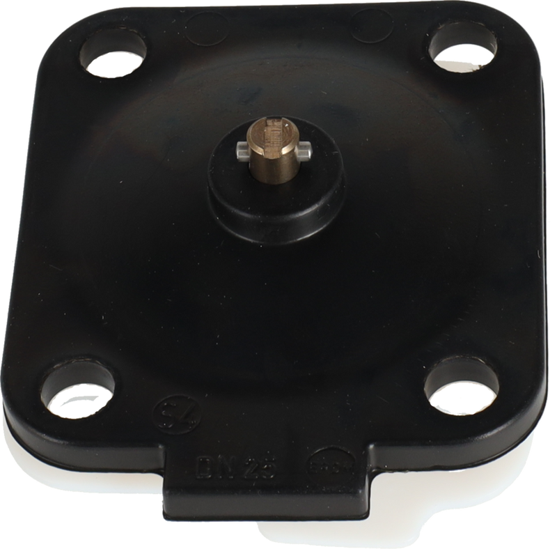 Diaphragm for DV-ST